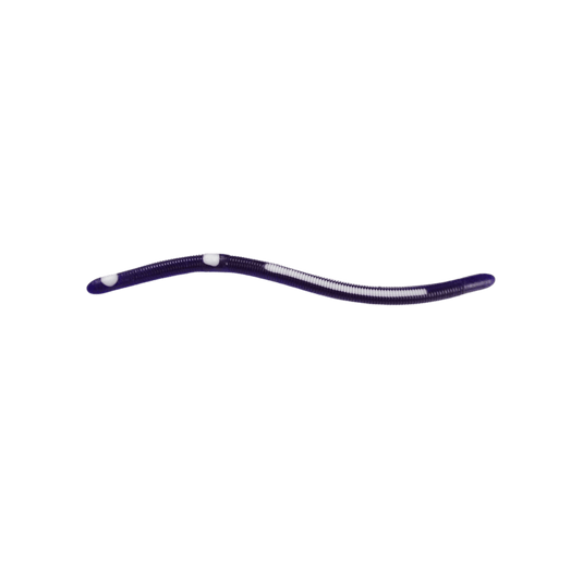 KELLY'S WORMS Purple & White Kelly's Bass Worms Striper