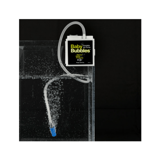 MARINE METAL FISHING MISCELLANEOUS Marine Metal Baby Bubbles Portable Air Pump