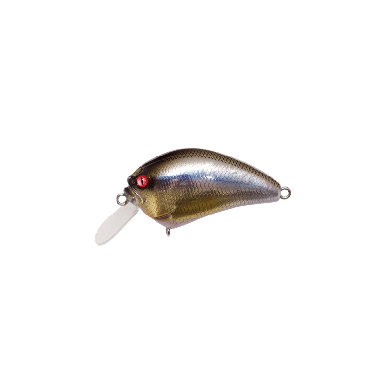Load image into Gallery viewer, MEGABASS CRANKBAIT Kasumi ITO Megabass IxI Blowly
