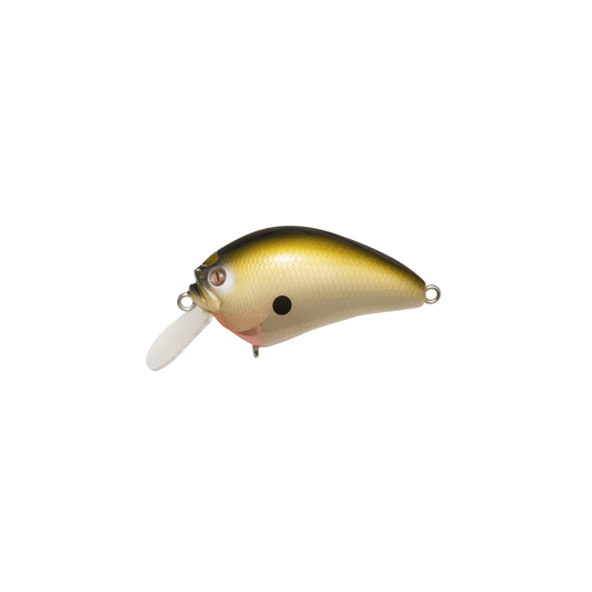 MEGABASS CRANKBAIT Secret Truffle Megabass IxI Blowly