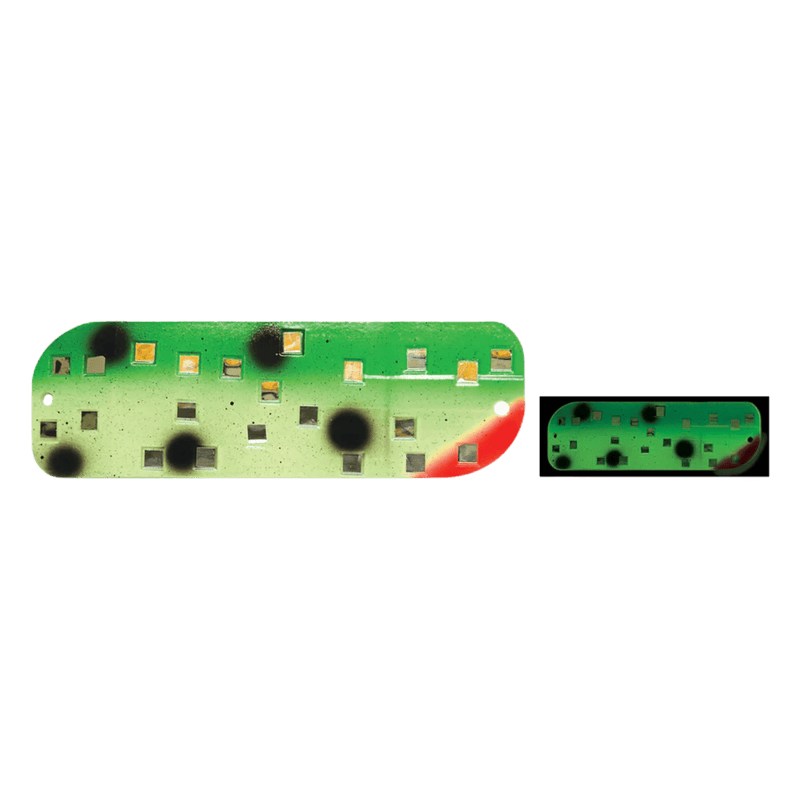 Load image into Gallery viewer, MOONSHINE FLASHERS 8" / Green Goby Moonshine Mirrored Flasher
