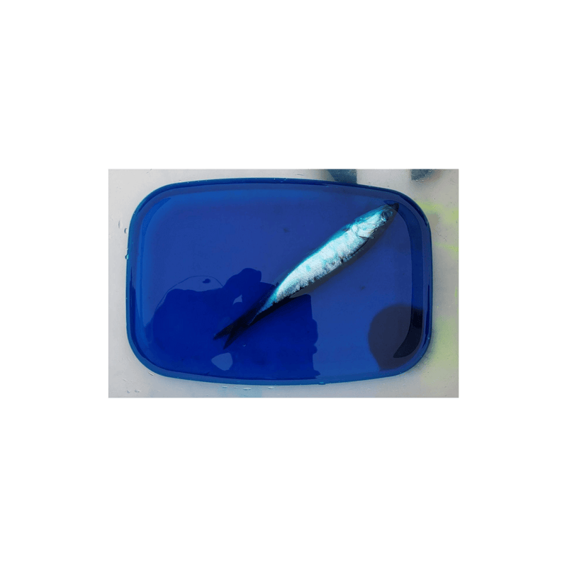 Load image into Gallery viewer, PAUTZKE FISHING MISCELLANEOUS Pautzke Fire Brine Blue UV 31oz
