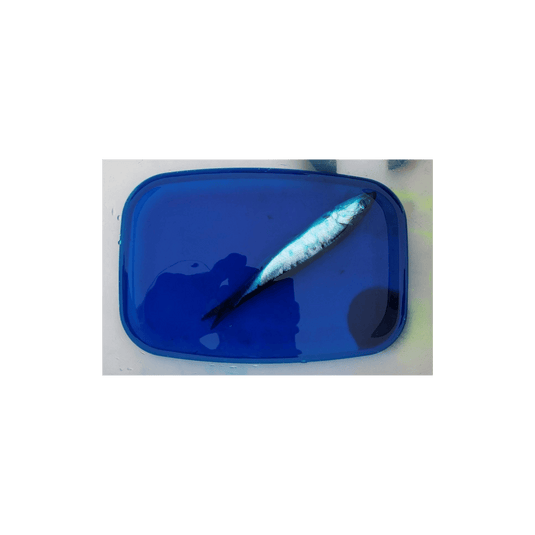 PAUTZKE FISHING MISCELLANEOUS Pautzke Fire Brine Blue UV 31oz