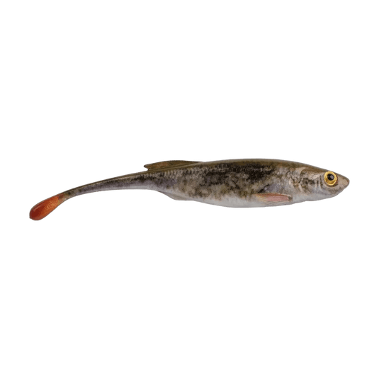 POWER BAIT DROP SHOT 3" / HD Goby Berkley Powerbait Drip Minnow