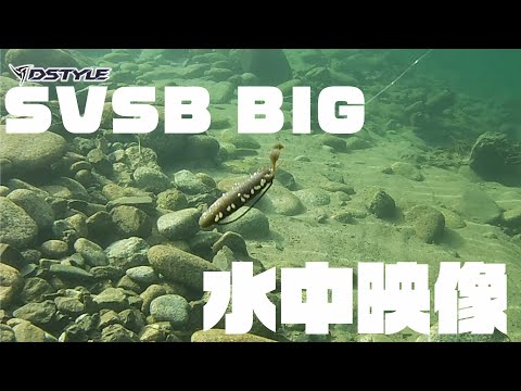 Load and play video in Gallery viewer, DSTYLE SVSB Big

