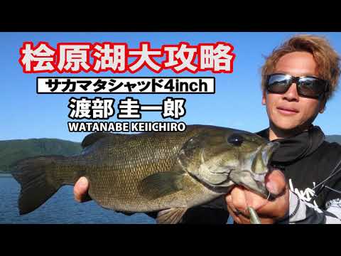 Load and play video in Gallery viewer, Deps Sakamata Shad

