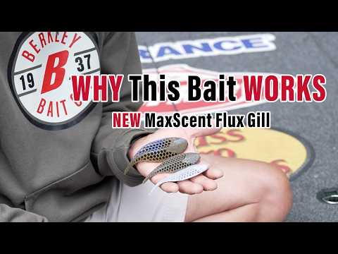 Load and play video in Gallery viewer, Berkley PowerBait Maxscent Flux-Gill
