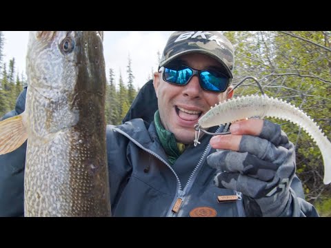 Load and play video in Gallery viewer, BKK Titandiver +
