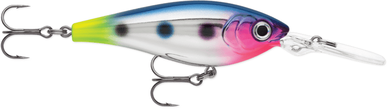 Load image into Gallery viewer, RAPALA CRANKBAIT 05 / Chrome Blue Hot Tail Rapala Harvest Shad
