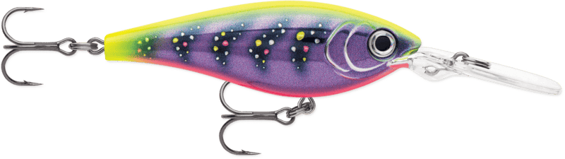 Load image into Gallery viewer, RAPALA CRANKBAIT 05 / Purple Meat Market Rapala Harvest Shad
