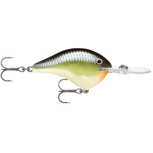RAPALA CRANKBAIT 12 / Smash Rapala DT® (Dives-To) Series Crankbait