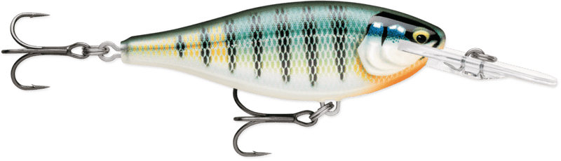 Load image into Gallery viewer, RAPALA CRANKBAIT 55 / Gilded Blue Gill Rapala Shad Rap Elite

