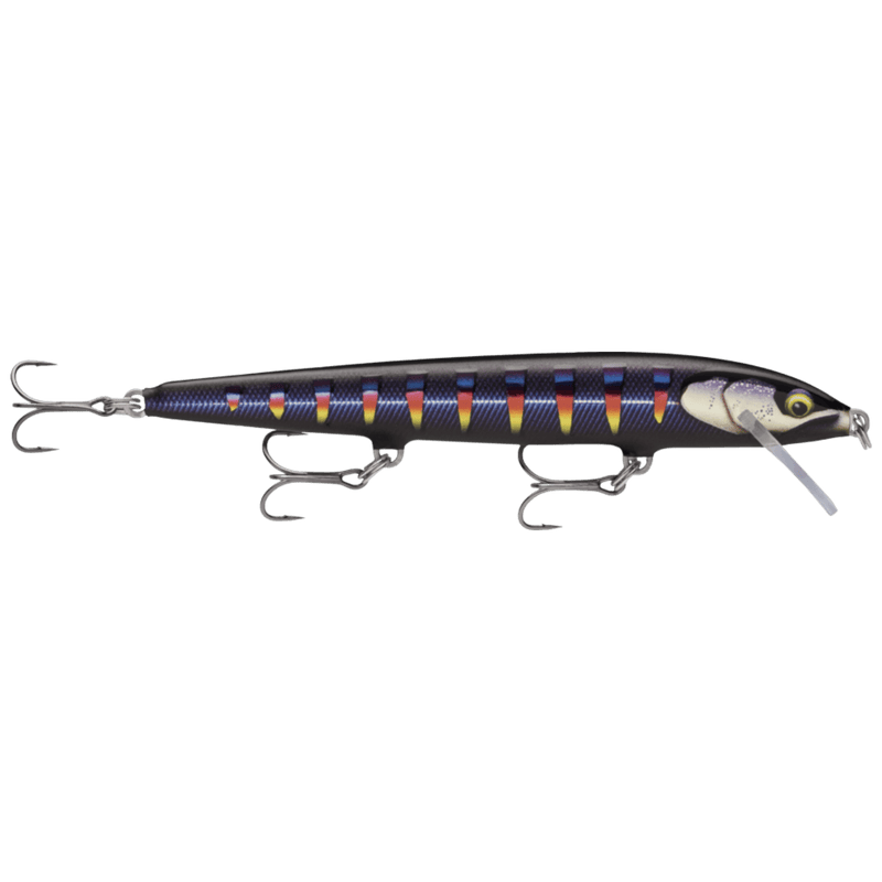 Load image into Gallery viewer, RAPALA JERKBAIT 120 / Gilded Night Aurora Rapala Floater Elite
