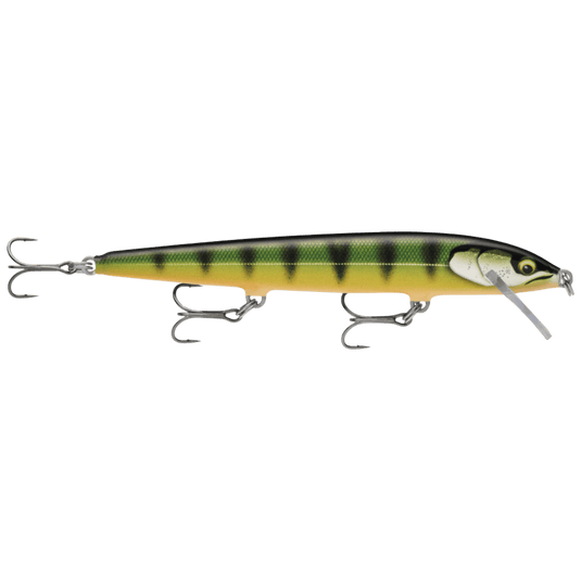 RAPALA JERKBAIT 120 / Gilded Perch Rapala Floater Elite