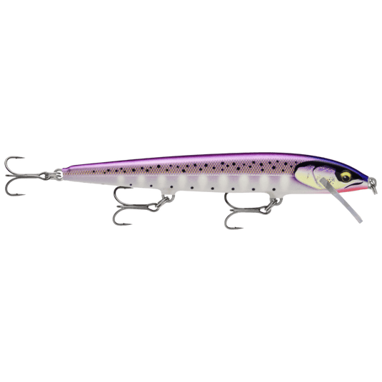 RAPALA JERKBAIT 120 / Gilded Purpledescent Rapala Floater Elite