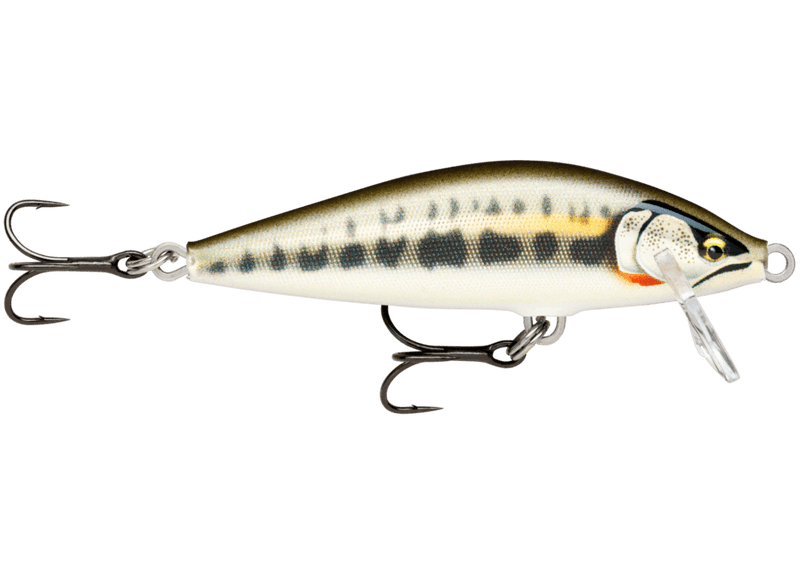 Load image into Gallery viewer, RAPALA JERKBAIT 55 / Gilded Minnow Rapala Countdown Elite 55
