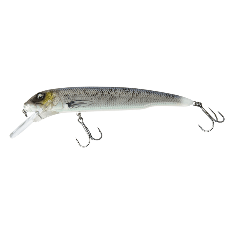 Load image into Gallery viewer, SAVAGE GEAR MUSKY/PIKE 10" / Cisco Glitter Savage Gear Sucker Flanker
