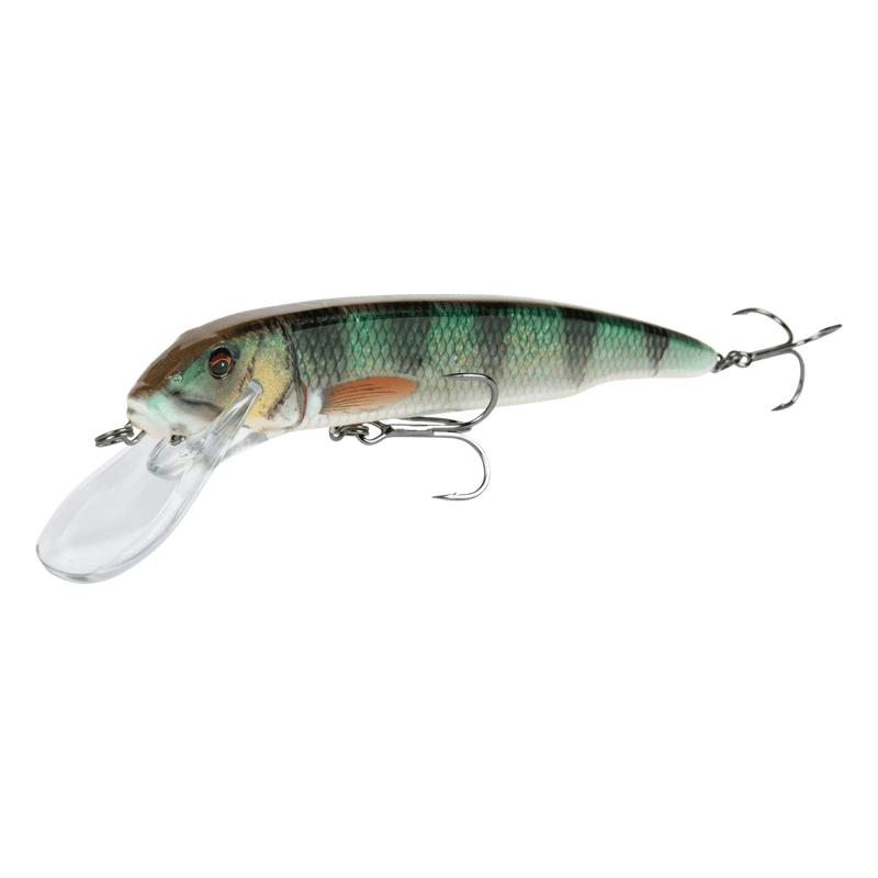 Load image into Gallery viewer, SAVAGE GEAR MUSKY/PIKE 10" / Perch Glitter Savage Gear Sucker Flanker

