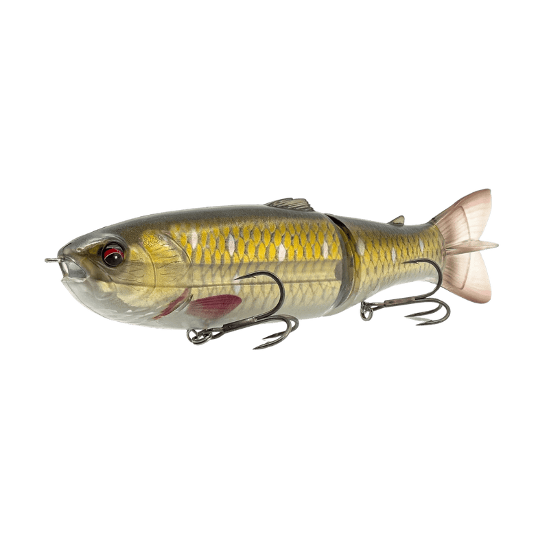 Load image into Gallery viewer, SAVAGE GEAR MUSKY/PIKE 10" / Sucker Savage Gear Scandal Predator
