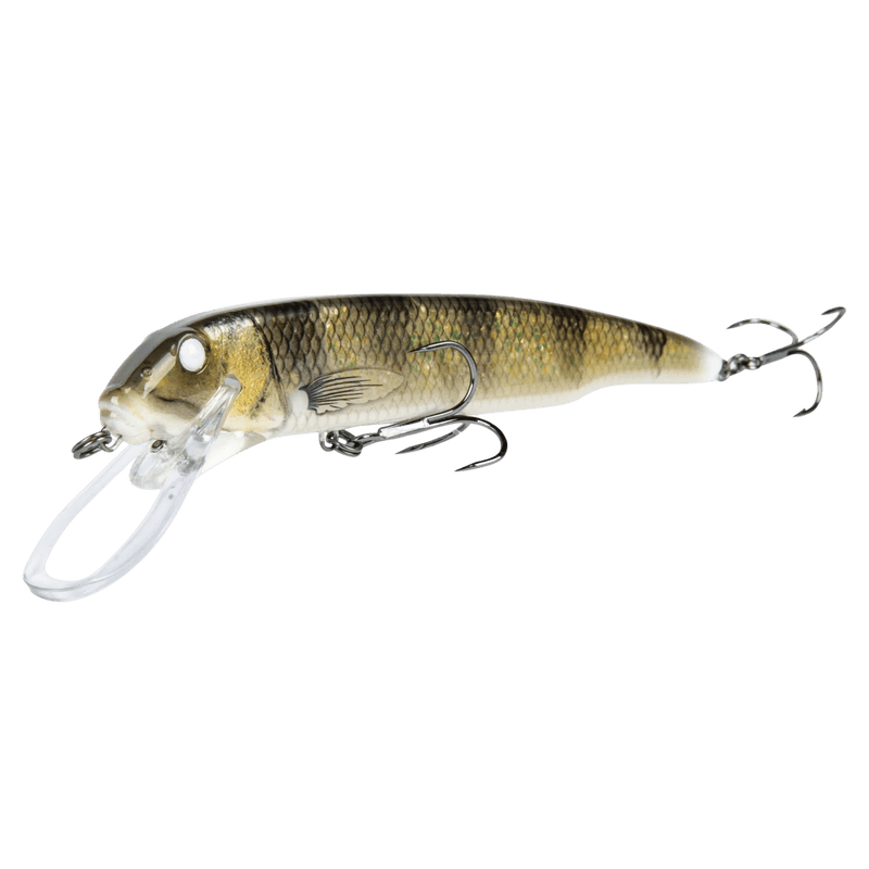 Load image into Gallery viewer, SAVAGE GEAR MUSKY/PIKE 10" / Walleye Glitter Savage Gear Sucker Flanker
