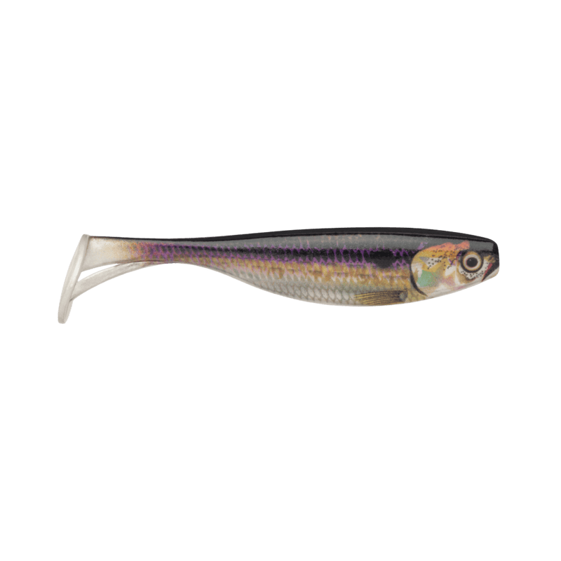 Load image into Gallery viewer, STORM LARGO SHAD 3.5&quot; / Threadfin Shad Storm Largo Shad
