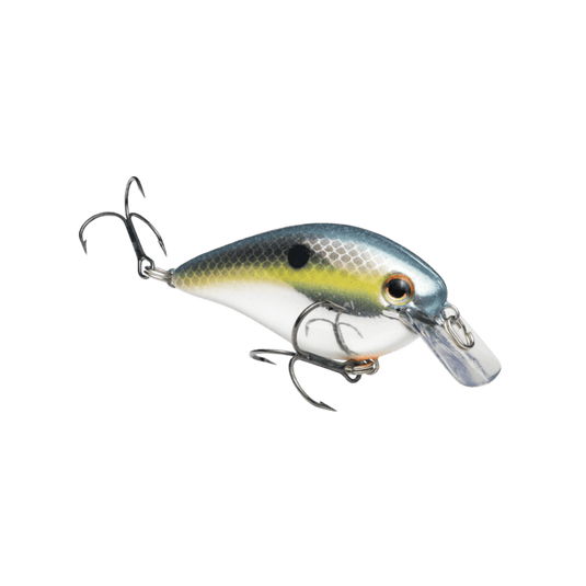 STRIKE KING CRANKBAIT 1.5 / Chrome Sexy Shad Strike King KVD Squarebill 1.5 Crankbait