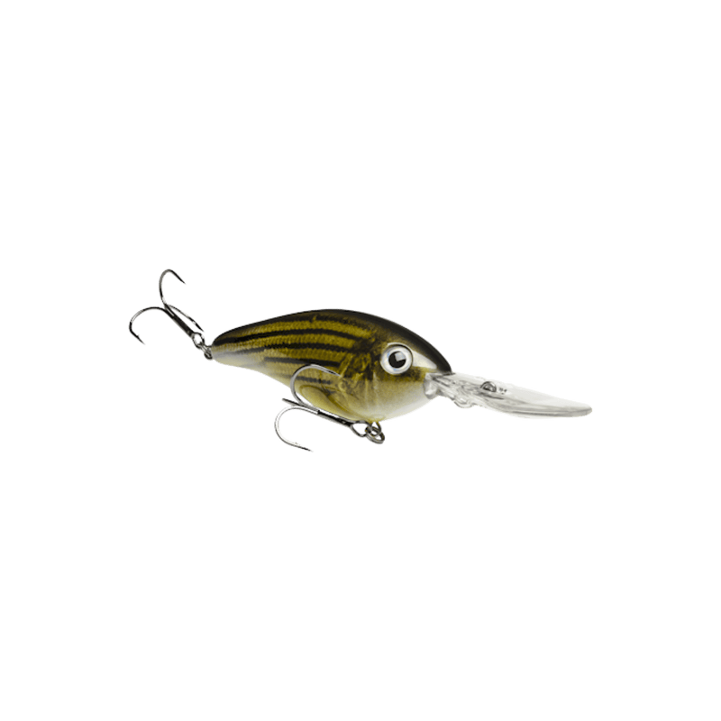 Load image into Gallery viewer, STRIKE KING CRANKBAIT Barfish Strike King 6XD Crankbait
