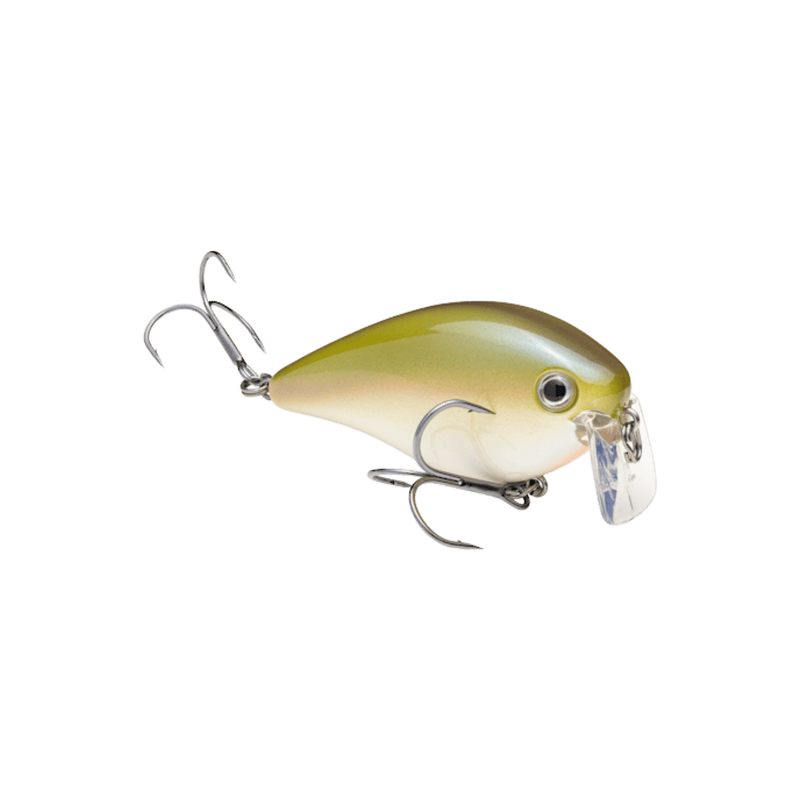Load image into Gallery viewer, STRIKE KING CRANKBAIT The Shizzle Strike King KVD 2.5 Wake Bait
