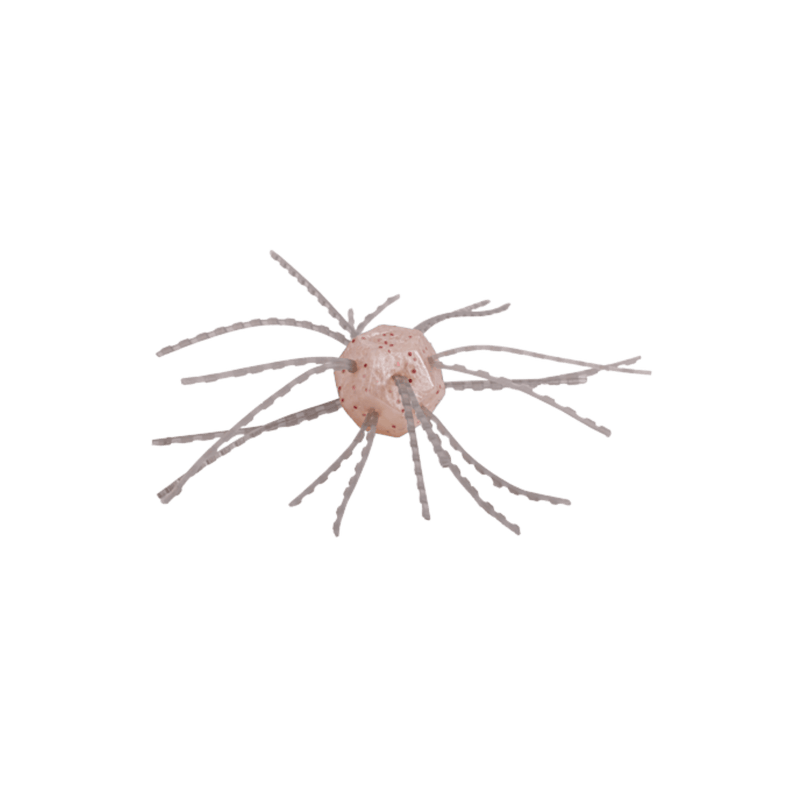 Load image into Gallery viewer, STRIKE KING CRAWS/CREATURE White Sauce Strike King Tumbleweed Salted
