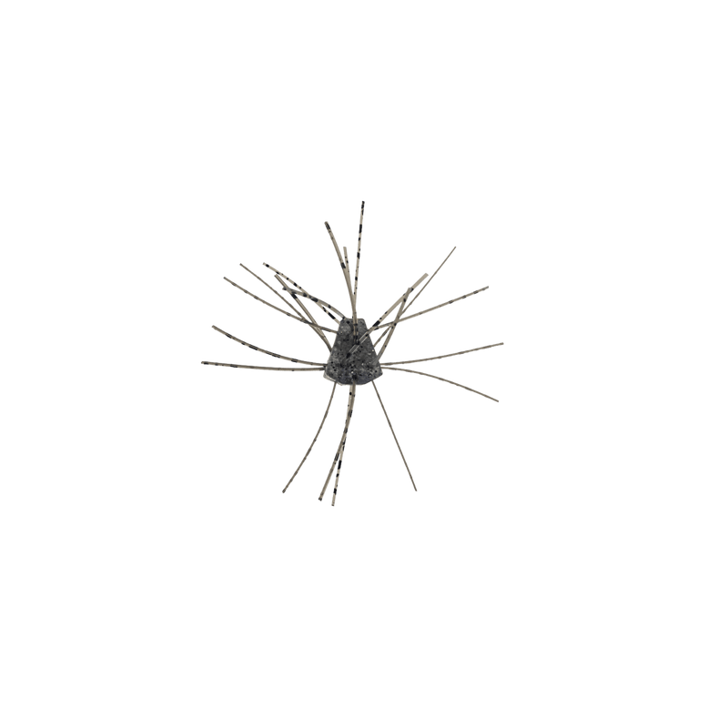 Load image into Gallery viewer, X ZONE CRAWS/CREATURE Non-Salted / Smoke Black Flake X Zone GBO
