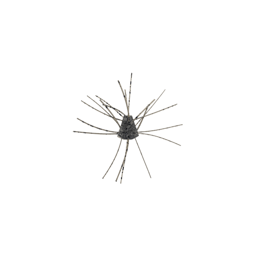 X ZONE CRAWS/CREATURE Non-Salted / Smoke Black Flake X Zone GBO