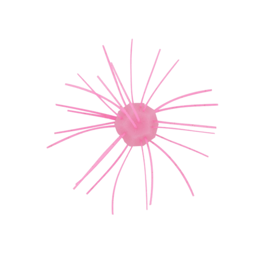 Z MAN CRAWS/CREATURE 0.5