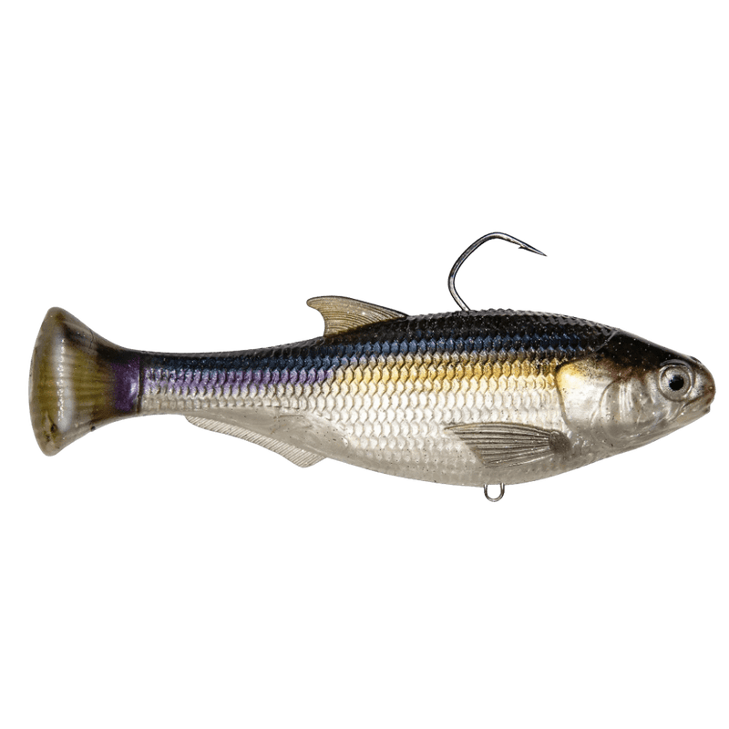 Load image into Gallery viewer, Z MAN MINNOWS/SHADS 4.5&quot; / Blueback Herring Z Man Shadtron LT Swimbait
