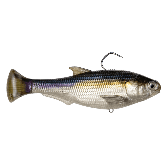Z MAN MINNOWS/SHADS 4.5" / Blueback Herring Z Man Shadtron LT Swimbait