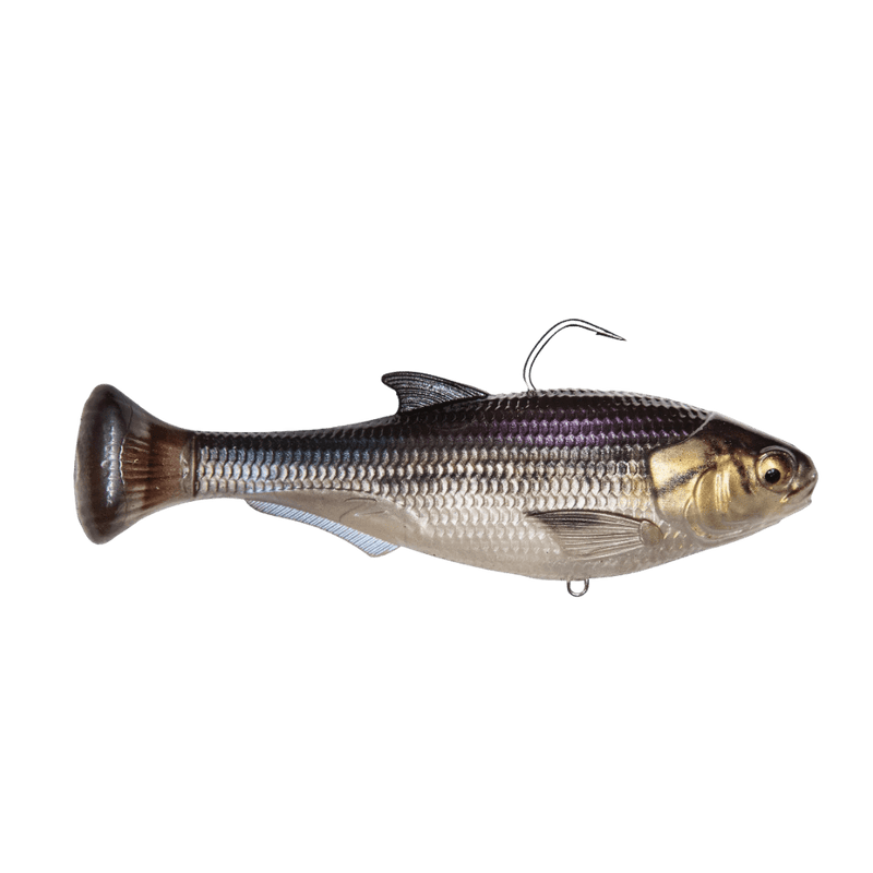 Load image into Gallery viewer, Z MAN MINNOWS/SHADS 4.5&quot; / Gizzard Shad Z Man Shadtron LT Swimbait
