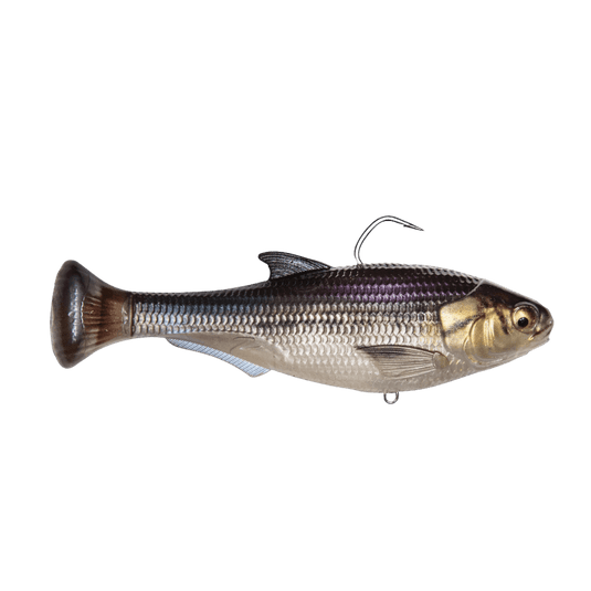 Z MAN MINNOWS/SHADS 4.5" / Gizzard Shad Z Man Shadtron LT Swimbait