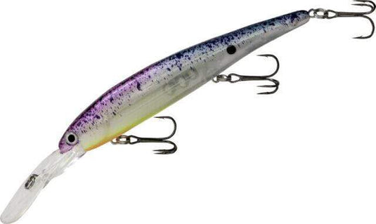  BANDIT LURES Multi-Species Minnow Jerkbait Glowing Fishing  Lure, Fishing Accessories, Excellent for Bass and Walleye, 4 5/8, 3/4 oz,  Chrome/Green/Blue/Purple : Sports & Outdoors