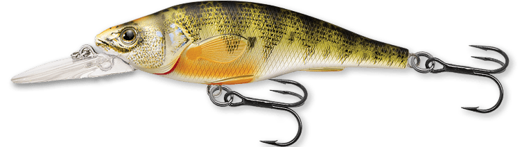 Load image into Gallery viewer, LIVE TARGET PERCH 73MM / Medium / Natural Live Target Perch Crankbait

