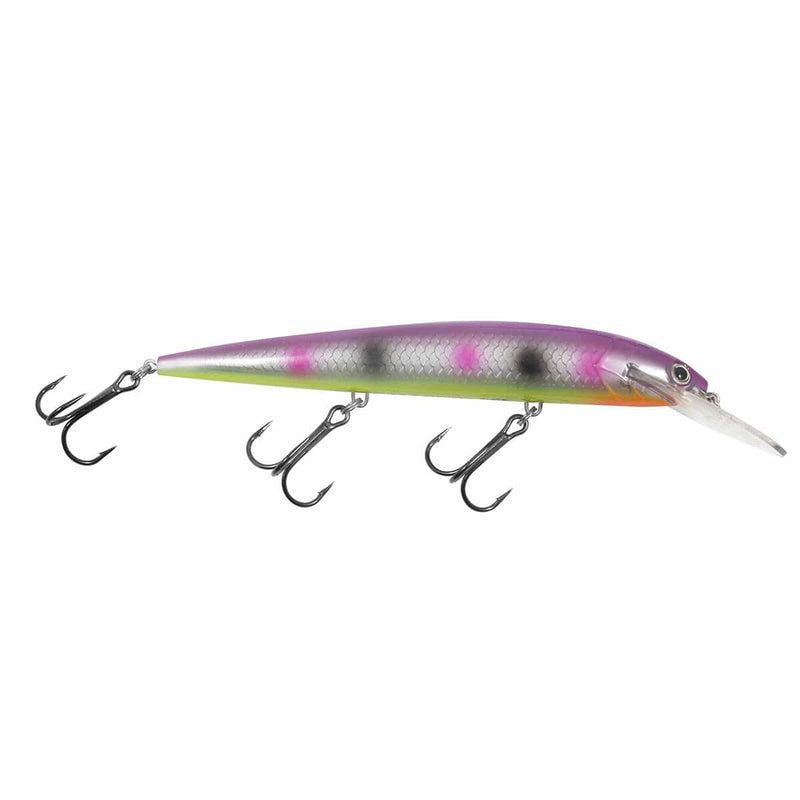 Load image into Gallery viewer, NORTHLAND RUMBLE B 13 / Purple Dot Northland Tackle Rumble B
