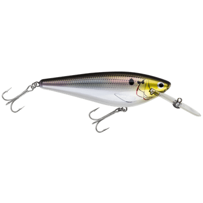 Load image into Gallery viewer, NORTHLAND RUMBLE MNSTR SHAD Realistic Shad Northland Rumble Monster Shad
