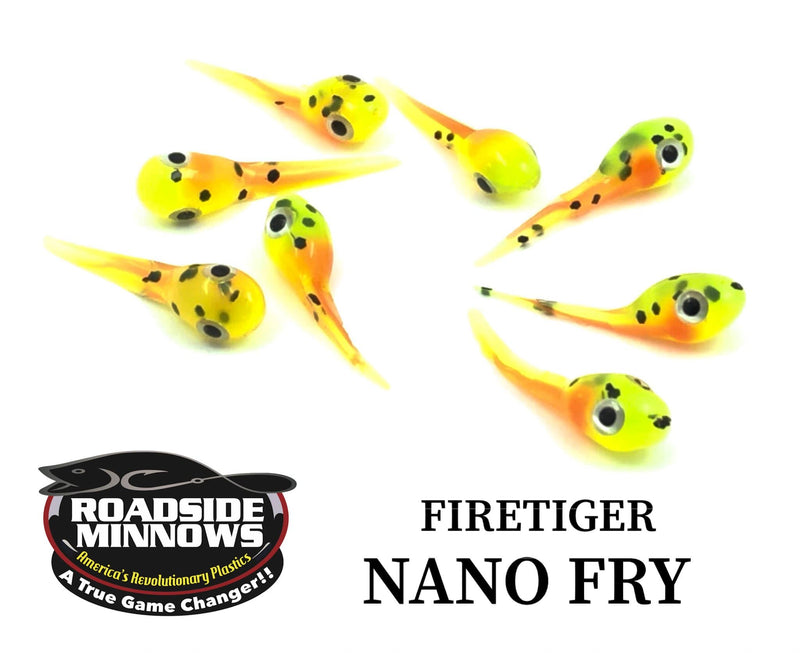 Load image into Gallery viewer, ROADSIDE MINNOWS 1&quot; NANO FRY FIRETIGER Roadside Minnows 1&quot; Nano Fry
