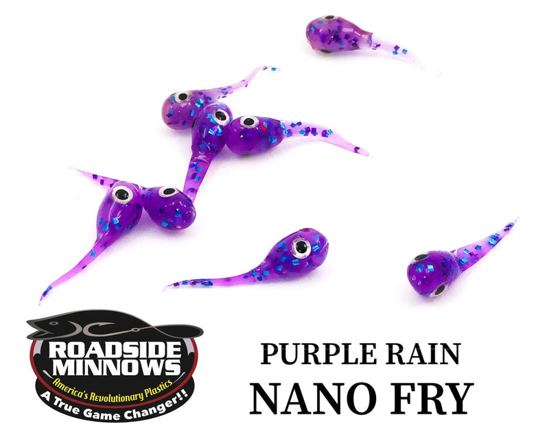 Load image into Gallery viewer, ROADSIDE MINNOWS 1&quot; NANO FRY PURPLE RAIN Roadside Minnows 1&quot; Nano Fry
