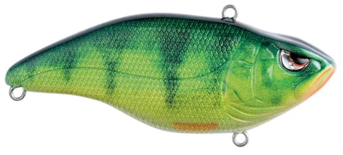 Load image into Gallery viewer, SPRO ARUKUSHAD75 5-8 / Real Perch Spro Aruku Shad 75
