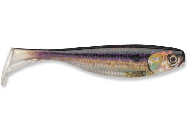 Load image into Gallery viewer, STORM LARGO SHAD 3&quot; / Threadfin Shad Storm Largo Shad
